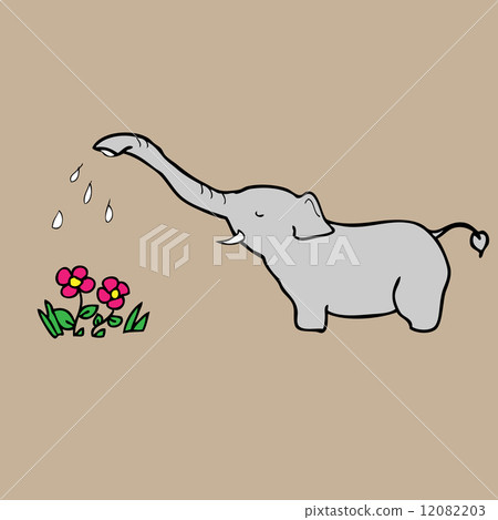 Elephant watering flowers Elephant watering flowers 12082203