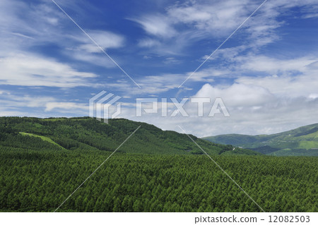 Shiraki Kogen Field Perspective 12082503