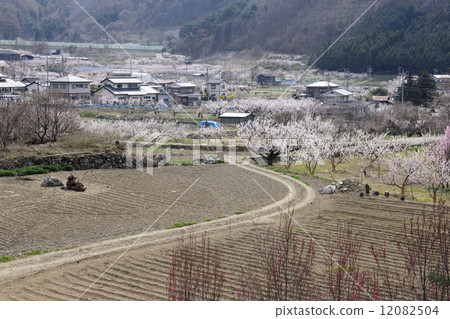 Anzu no Sato Anzu no Sato 12082504