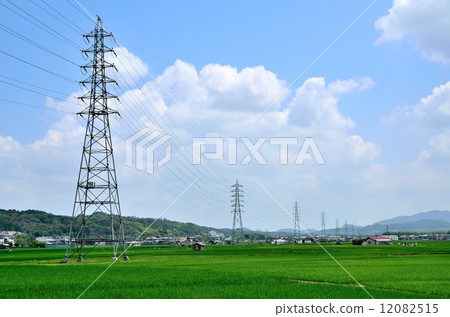 Rural landscape 12082515