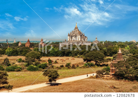 Buddhist Temples at Bagan Kingdom, Myanmar (Burma) 12082678