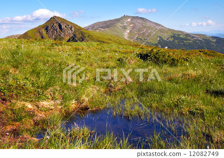 Summer mountain view Summer mountain view 12082749