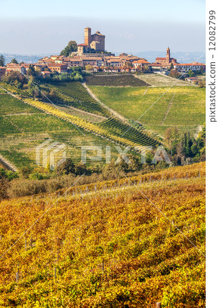 Small town and vineyards in Piedmont, Italy. 12082799