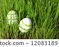 easter eggs in grass 12083189