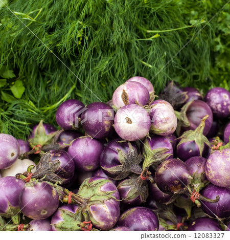 Eggplants and dill 12083327