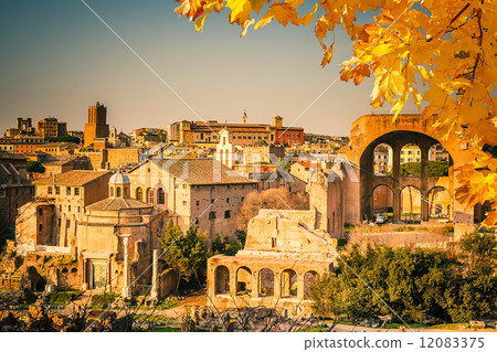 Ruins of Forum in Rome 12083375