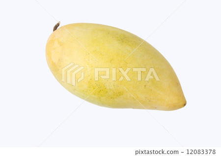 rip mango isolated on white background 12083378