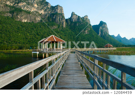 Wooden Bridge in lotus lake at khao sam roi yod national park, t 12084459