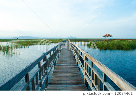 Wooden Bridge in lotus lake at khao sam roi yod national park, t 12084461