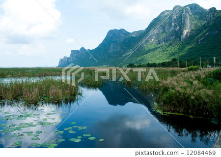 Wooden Bridge in lotus lake at khao sam roi yod national park, t 12084469