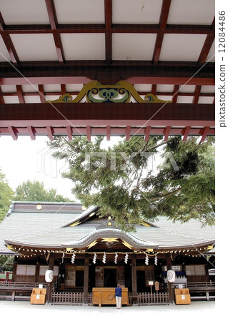 力量靈魂聖地 力量靈魂聖地 12084486