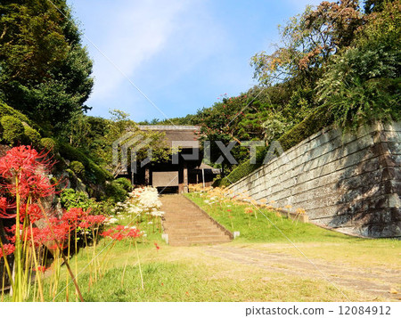 Saikaku-ji在秋天 12084912