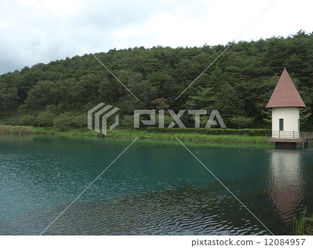 Green is a pond 12084957