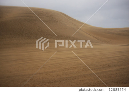 鳥取沙丘 12085354