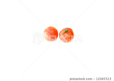 Tomato   12085523