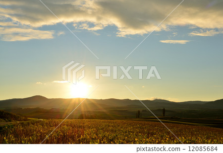 Biei no Oka 12085684