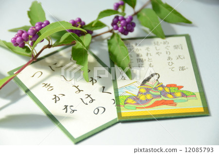 Murasakikibu Hyakunibaku 12085793