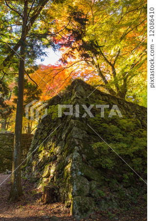 Takatori Castle Ruins Ishigaki and autumn leaves (vertical position) 12086410