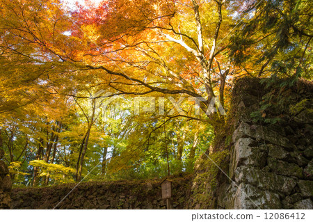 Takatori城堡廢墟石垣和秋葉（水平位置）2 12086412
