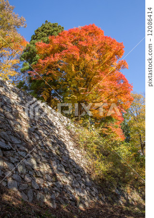 Takatori城堡廢墟石垣和秋葉（垂直位置）2 12086414