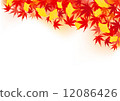 Autumn · autumn leaves · ginkgo (maple, red · yellow · golden · landscape) background illustration 12086426