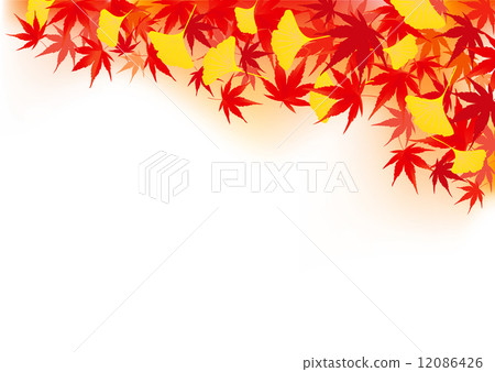 Autumn · autumn leaves · ginkgo (maple, red · yellow · golden · landscape) background illustration 12086426