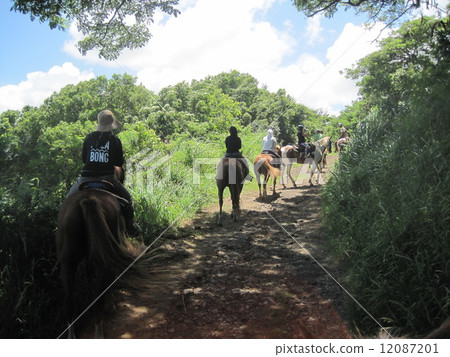 Kualoa Ranch 12087201