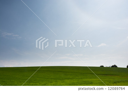 草原和藍天 草原和藍天 12089764