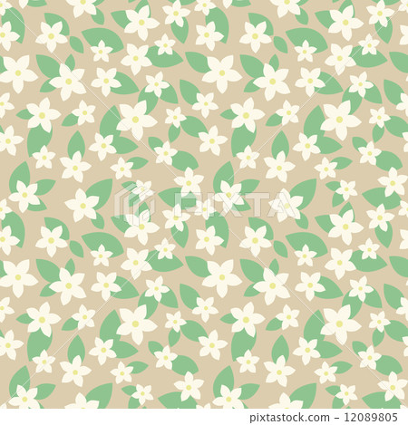 Floral  12089805
