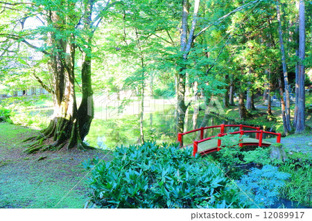 Yunoyaan Oike花園 12089917