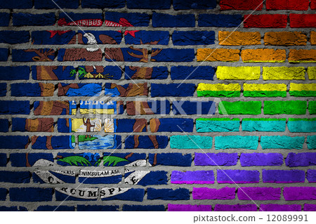 Dark brick wall - LGBT rights - Michigan 12089991