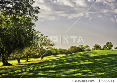 Golf Sunrise 12090054