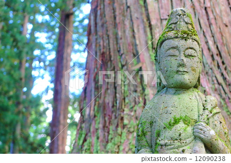 Buddha to protect Unzugi 12090238