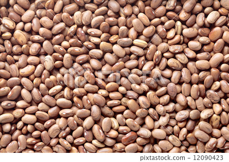 Carioca beans 12090423