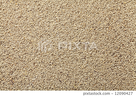 Black rice ball Black rice ball 12090427