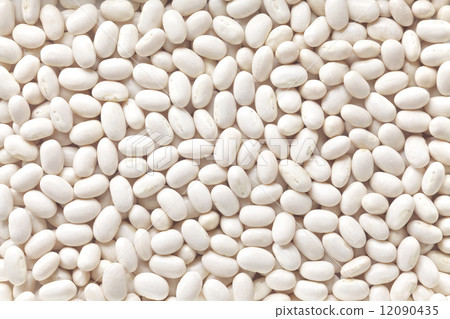 Major death 12090435