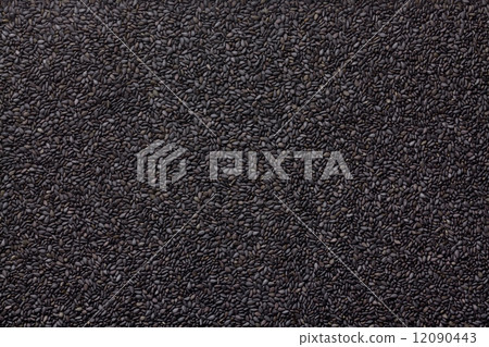 Black sesame 12090443