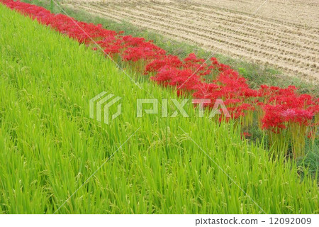 Autumn countryside 12092009