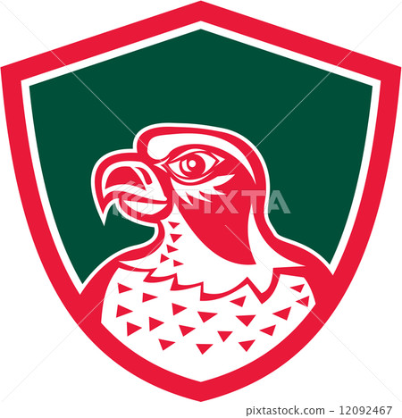 Falcon Head Side Shield Retro Falcon Head Side Shield Retro 12092467