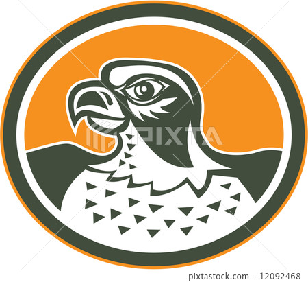 Falcon Head Side Oval Retro 12092468