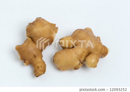 Ginger Ginger 12093252