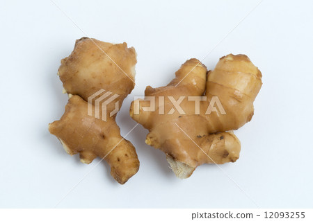 Ginger Ginger 12093255