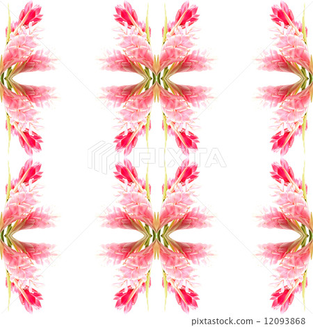Ginger flower 12093868