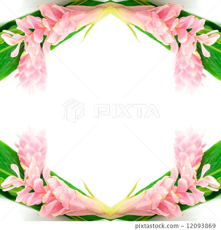 Ginger flower 12093869