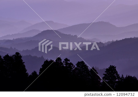 台場海的海 12094732