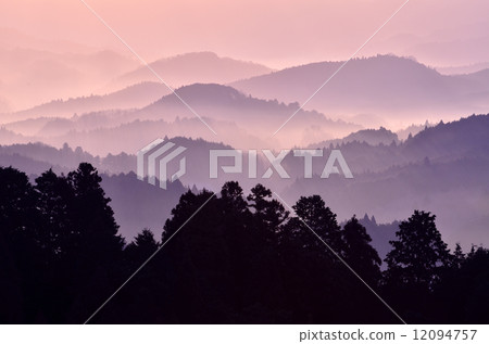 台場海的海 12094757