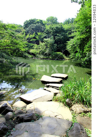 The University of Tokyo's Sanshiro pond 12094833