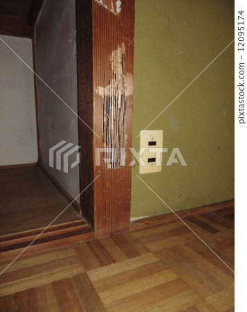 Damage to termites Damage to termites 12095174