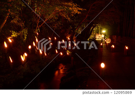 Thanksgiving evening Mariko 12095869