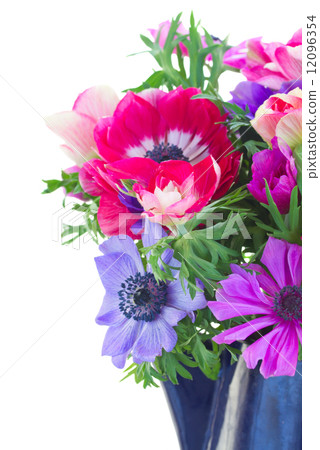 anemone flowers  12096354